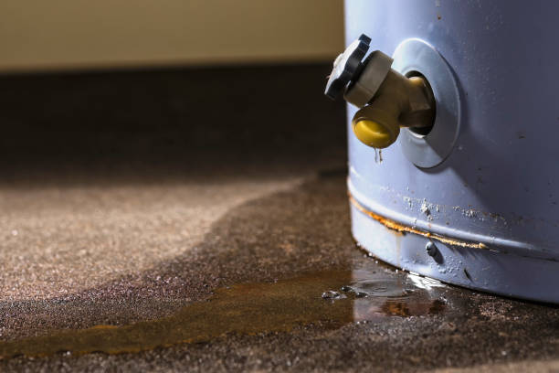 Best Emergency water damage restoration  in Fort Scott, KS