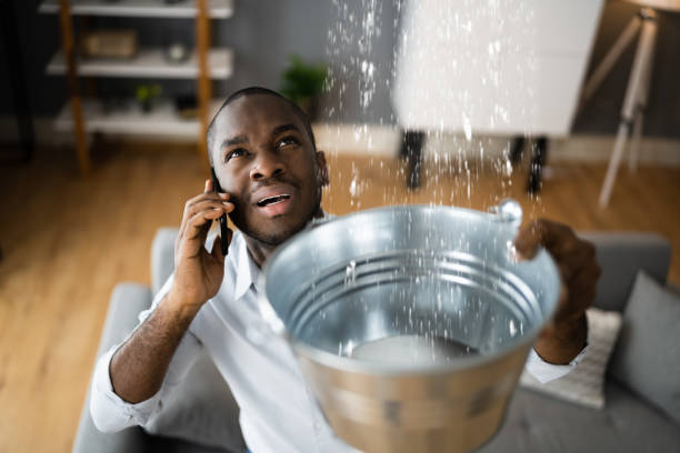 Best Flooded house restoration  in Fort Scott, KS
