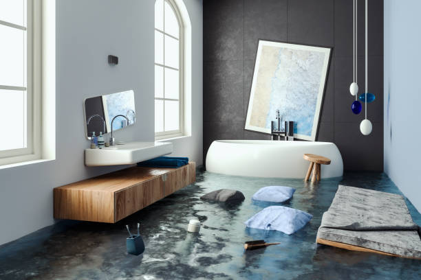 Best Ceiling water damage repair  in Fort Scott, KS