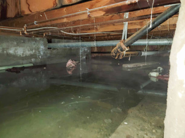 Best Sewage cleanup and water damage restoration  in Fort Scott, KS