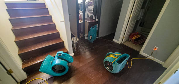 Best Basement water damage restoration  in Fort Scott, KS