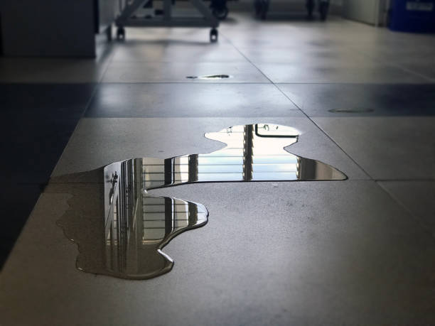 Best Water damage cleanup near me  in Fort Scott, KS