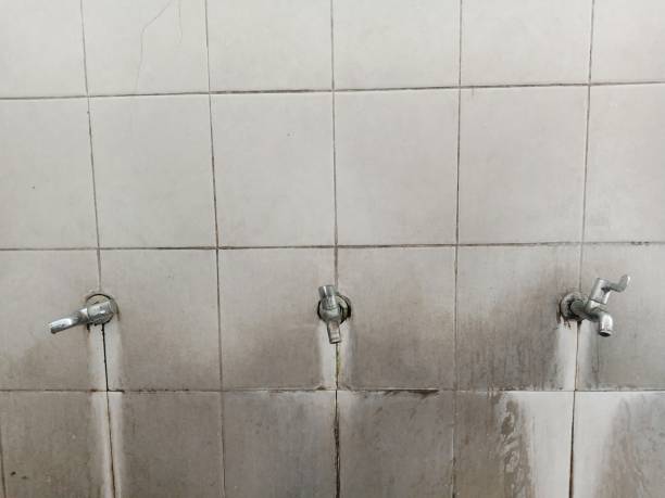 Best Carpet water damage restoration  in Fort Scott, KS
