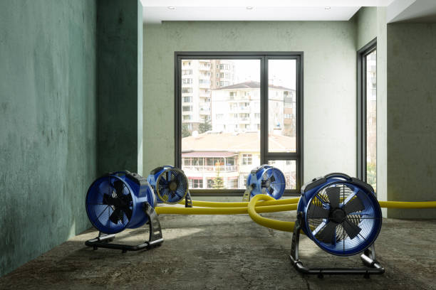 Best Water damage contractors near me  in Fort Scott, KS